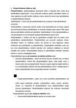 Referāts 'Pārapdrošināšanas būtība un veidi', 1.