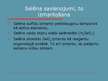 Prezentācija 'Selēns', 6.