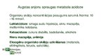 Prezentācija 'Metabola acidoze', 15.
