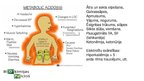 Prezentācija 'Metabola acidoze', 20.