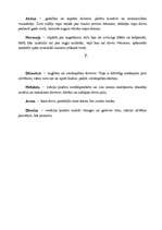 Konspekts 'Sengrieķu dievi', 5.