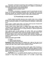 Prakses atskaite 'Grāmatvedības prakse', 10.