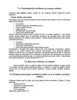 Prakses atskaite 'Grāmatvedības prakse', 27.