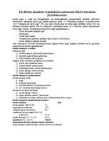 Prakses atskaite 'Grāmatvedības prakse', 32.