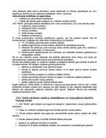 Prakses atskaite 'Grāmatvedības prakse', 41.