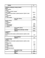 Prakses atskaite 'Grāmatvedības prakse', 46.