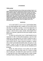 Eseja 'Filmas "Supergriboši" recenzija', 1.