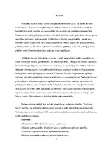 Prakses atskaite 'SIA "Evolution Latvia"', 3.