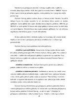 Prakses atskaite 'SIA "Evolution Latvia"', 20.