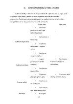 Prakses atskaite 'SIA "Evolution Latvia"', 23.