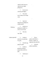 Prakses atskaite 'SIA "Evolution Latvia"', 24.