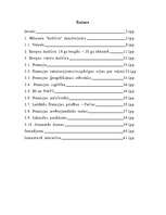 Referāts 'Eiropas valstu kultūra un tradīcijas', 1.