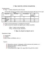 Referāts 'Rīgas rūpnieciskā attīstība 19.,20.gadsimtā', 2.