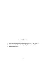 Referāts 'Rīgas rūpnieciskā attīstība 19.,20.gadsimtā', 14.