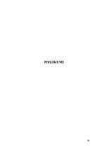 Referāts 'Dokumentācijas izstrāde trīs zvaigžņu viesnīcai', 29.