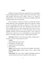 Referāts 'Motivācijas nozīme sportista sasniegumu veicināšanā', 3.