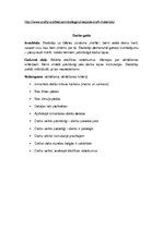 Konspekts 'Konspekts mājturības stundai', 3.