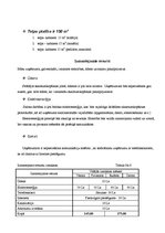 Biznesa plāns 'Skaistumkopšanas salona biznesa plāns', 10.