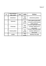 Biznesa plāns 'Skaistumkopšanas salona biznesa plāns', 13.