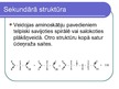 Prezentācija 'Olbaltumvielu uzbūve', 12.
