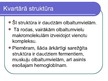 Prezentācija 'Olbaltumvielu uzbūve', 14.