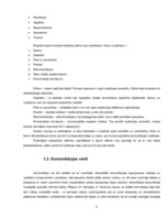 Referāts 'Komunikācija ar klientiem kā uzņēmuma SIA "Dimdiņi" sabiedrisko attiecību sastāv', 5.