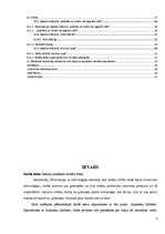 Referāts 'Ieskats jaunākajā latviešu dzejā', 3.