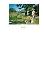 Konspekts 'Dabas tēma saistībā ar pavasari', 10.