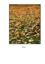 Konspekts 'Dabas tēma saistībā ar pavasari', 11.