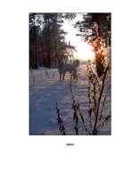 Konspekts 'Dabas tēma saistībā ar pavasari', 12.