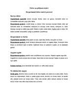 Konspekts 'Dabas tēma saistībā ar pavasari', 14.