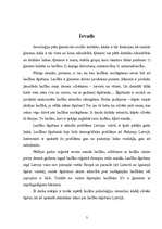 Referāts 'Laulību šķiršanas problēma Latvijā', 3.