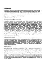 Konspekts 'Kopenhāgena', 1.