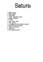 Referāts 'Rīga', 1.