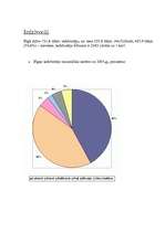 Referāts 'Rīga', 5.