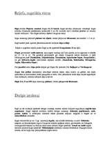 Referāts 'Rīga', 6.