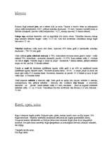 Referāts 'Rīga', 7.