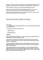 Referāts 'Rīga', 9.