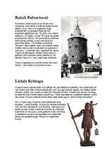 Referāts 'Rīga', 13.