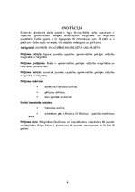 Referāts 'Vajadzību apmierinātības pakāpes salīdzinājums mazpilsētas un lielpilsētas  jaun', 2.