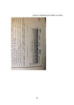 Referāts 'Vajadzību apmierinātības pakāpes salīdzinājums mazpilsētas un lielpilsētas  jaun', 25.