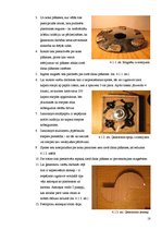 Referāts 'Elektroenerģijas ieguves veidu alternatīvas', 16.