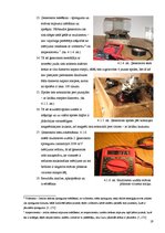 Referāts 'Elektroenerģijas ieguves veidu alternatīvas', 17.