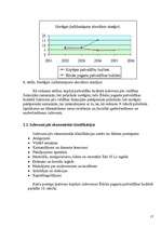 Referāts 'Ēdoles pagasta pašvaldības budžets', 17.