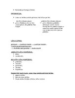 Konspekts 'Latvijas tiesību vēsture. Lēņu tiesības', 2.