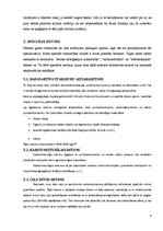 Referāts 'Betonu veidi, to tilpumsvaru salīdzinājums', 9.