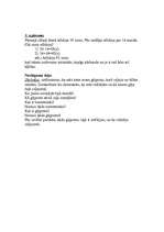 Konspekts 'Integrēts stundas konspekts dabas zinībās 2.klasei', 4.