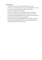 Referāts 'Jaunbūves Rīgas vēsturiskajā centrā. Arhitektūras analīze', 9.