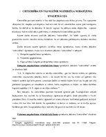 Eseja 'Cietsirdība un tās nozīme noziedzīga nodarījuma kvalifikācijā', 3.