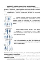 Konspekts 'Gēnu mutācijas x hromosomā. Hromosomālās pārveides. Multifaktoriālās slimības', 1.